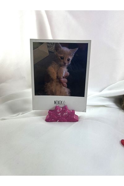 Melouro Fuchsia White Splatter Daisy Note Holder, Photo and Card Holder, Note Holder Wedding Name Holder