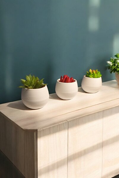 Home Yuvarlak Çizgili Modern Saksı 3'lü Suculent-kaktüs Için