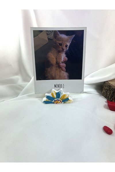 Melouro Colorful Daisy Note Holder, Photo and Card Holder, Note Holder Wedding Name Holder