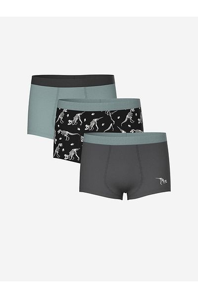 LC Waikiki Printed Boy's Boxer Set of 3