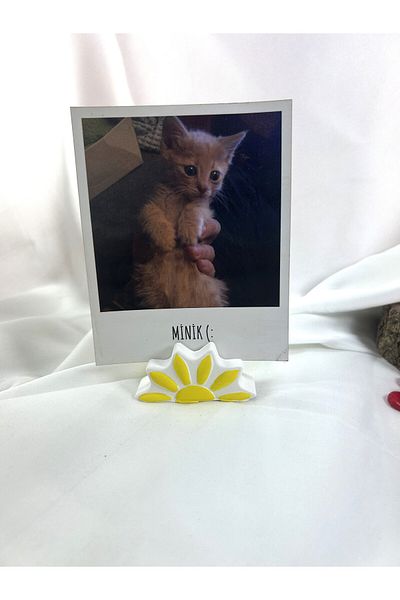 Melouro Yellow Design Daisy Note Holder, Photo and Card Holder, Note Holder Wedding Name Holder