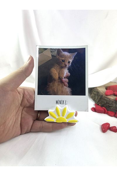 Melouro Yellow Design Daisy Note Holder, Photo and Card Holder, Note Holder Wedding Name Holder