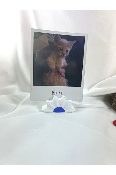 Melouro White Navy Blue Daisy Note Holder, Photo and Card Holder, Note Holder Wedding Name Holder