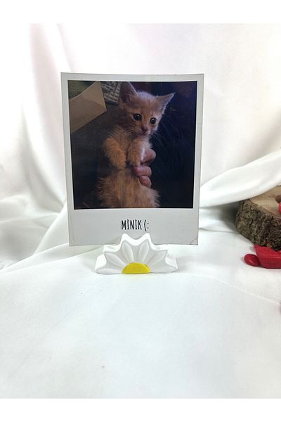 Melouro Daisy Note Holder, Photo and Card Holder, Note Holder Wedding Name Holder