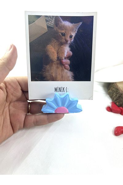 Melouro Baby Blue Daisy Note Holder, Photo and Card Holder, Note Holder Wedding Name Holder