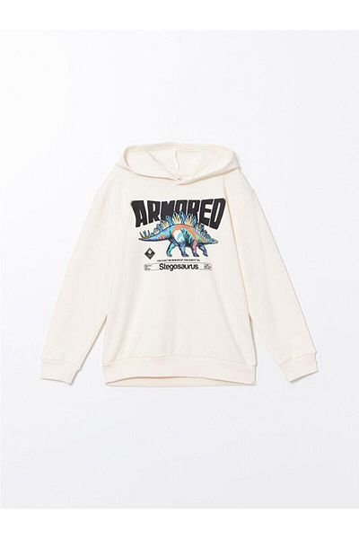 LC Waikiki Hooded Boy's Sweatshirt