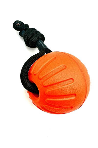 Tasma Market Suda Batmaz Tutma Kulplu Köpek Eğitim Topu Oyuncağı 2'li Set 9CM