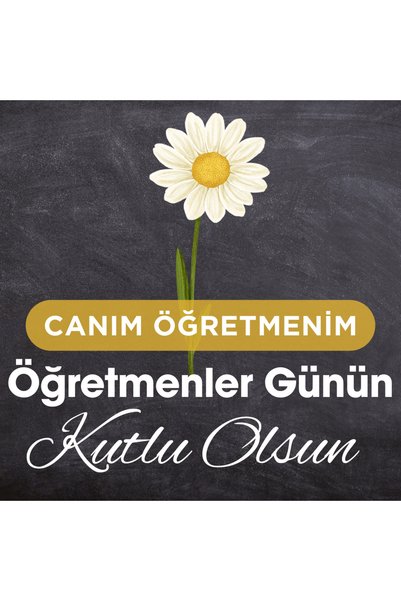 Kozalak Tasarım 24 November Teacher's Day Special Day Name Badge Label for School Activities 9Pcs