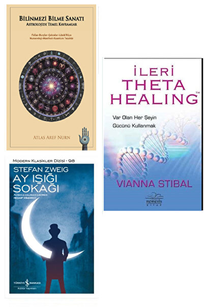 TÜRKİYE İŞ BANKASI KÜLTÜR YAYINLARI İleri Theta Healing : Var Olan Her Şeyin ...