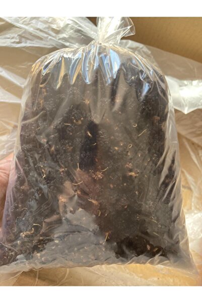 Baş Değirmenler Izmir Torbalı Doğal Kara Dut Kurusu 500gr (Sezon 2024-25)