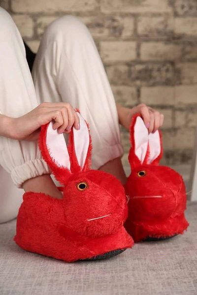 Behtah Kundura Unisex Rabbit Figured Plush Slippers - Keep Feet Warm Home Boots