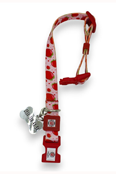 CARAMELOS İSİMLİ, YAVRU VE KÜÇÜK IRK KÖPEK TASMASI, 1,5 CM, PASLANMAZ, KARARMAZ ÇELİK KÜNYELİ, KİŞİYE ÖZEL,