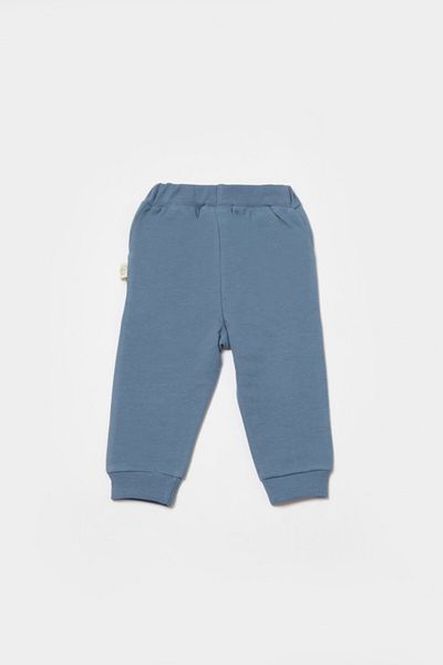 BabyCosy Pantaloni lungi, Two thread, 100%bumbac organic - Indigo, BabyCosy, 3-6 luni
