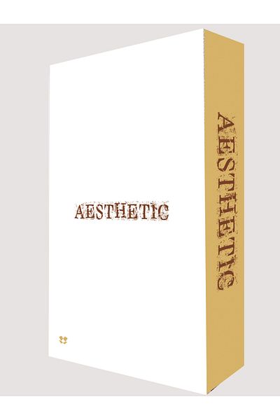 BSEYSTORE 245 Aesthetic Decorative Book Box