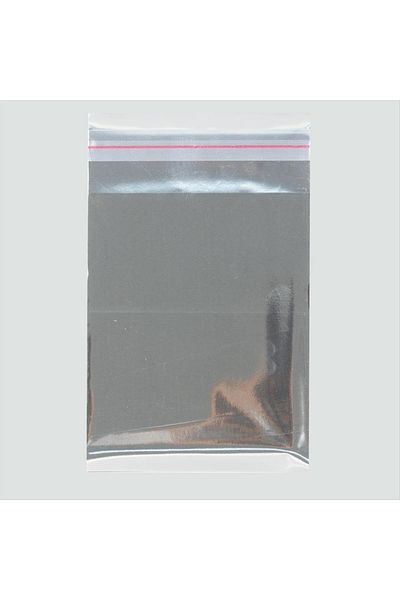 Bijuteri Net 9*12 Metallized Gift Bag Pack 100 Pieces