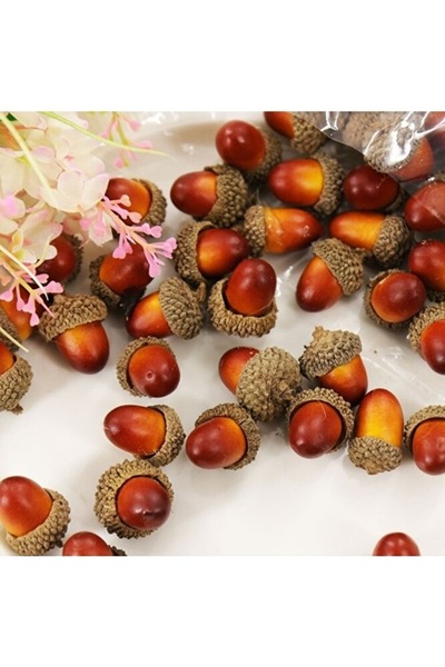 Köy Tohumları 5 Adet Tohum Organik Yıllık Palamut Ağacı Tohumu  Dev Palamut T...