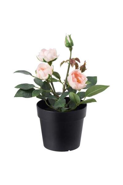 IKEA Fejka Yapay Gül 9 Cm 00395313