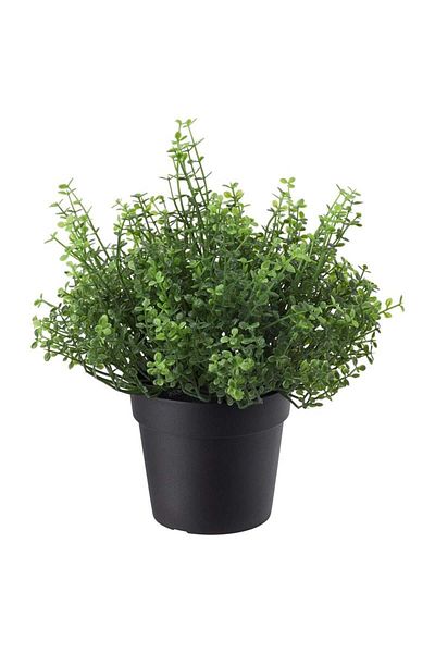 IKEA Λουλούδι Fejka Tangle 9 εκ 00532777