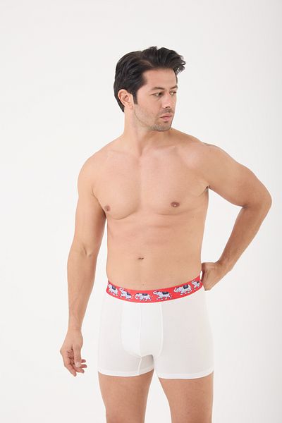 Saint Sail Gift Cotton Comfortable Printed Colorful Men's Boxers