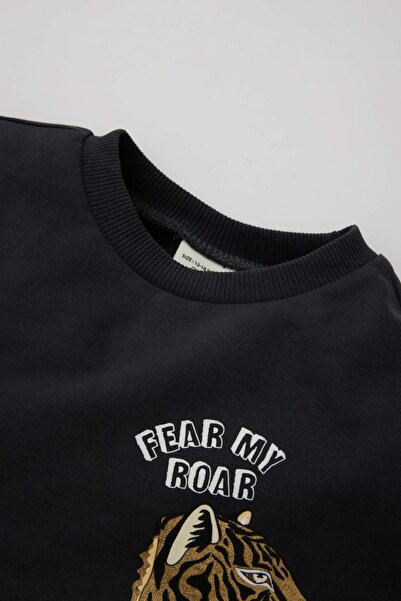DeFacto Erkek Bebek Baskılı Sweatshirt Eşofman Altı 2'li Takım C0642a524sp