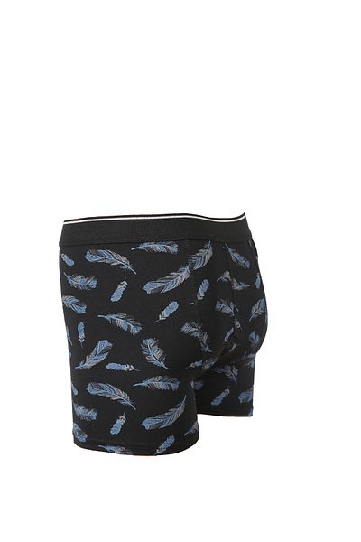Alıç ALIÇ Ανδρικό Boxer Lycra 5 Τεμάχια Μικτό Χρώμα