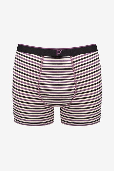 Penti Thin Stripe 2 Pack Πολύχρωμα Boxers