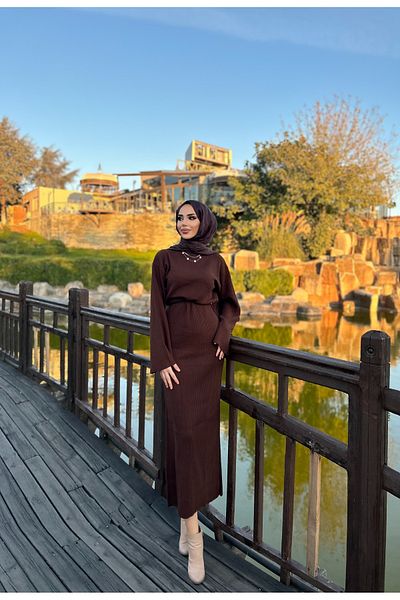 ensade Spanish Sleeve Half Turtleneck Dress