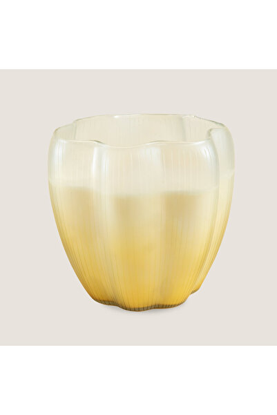 Chakra Leon Mumluk 20x19 Cm Bej