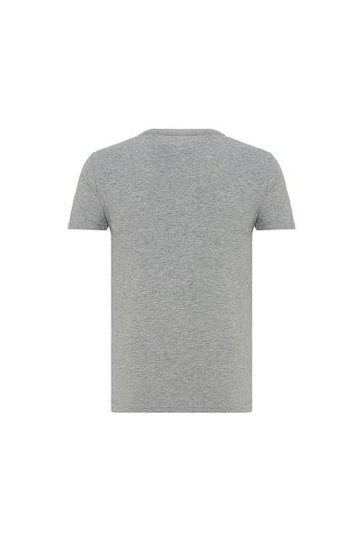 ROUTEFIELD Men's T-Shirt Thru Gray Melange