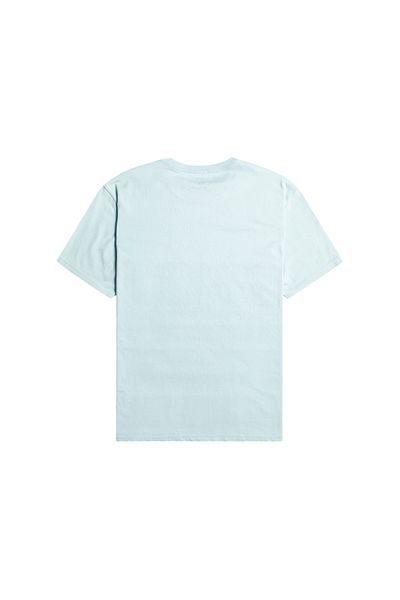 BİLLABONG Billabong Billabong Inversed Men's Blue T-Shirt Men's T-Shirt Ebyzt00102