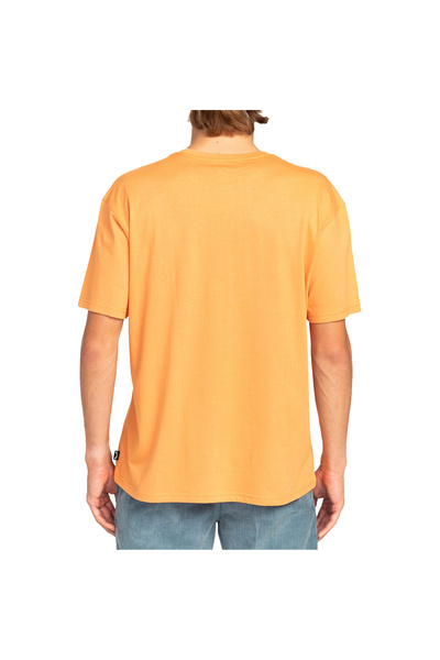 BİLLABONG Billabong Exit Arch Men's Color T-Shirt