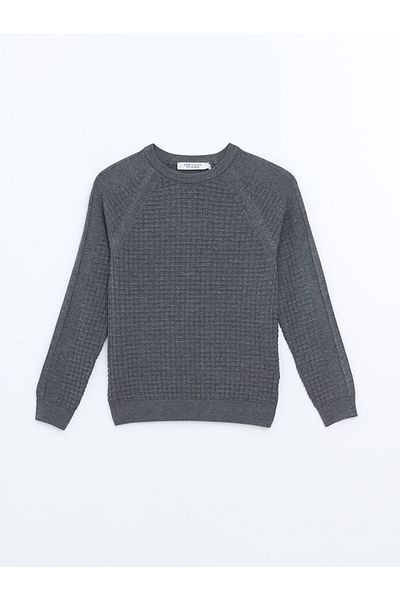 LC Waikiki Lcw Vision Crew Neck Long Sleeve Boys Sweatshirt