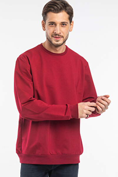 Superlife Süperlife Erkek Bisiklet Yaka Regular Fit İnce Sweatshirt SPR 20K30