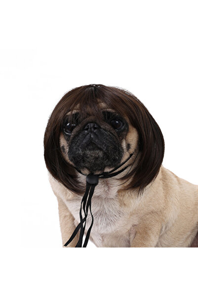 Choice كما هو موضح، شعر مستعار قصير مضحك للحيوانات الأليفة بلون طبيعي، مناسب ...