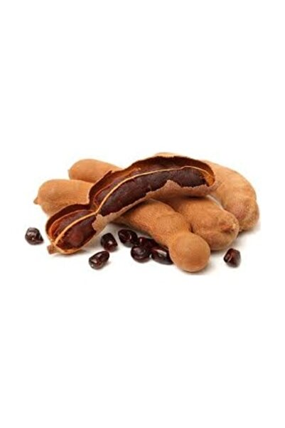 Köy Tohumları 20 Adet Tohum Organik Hasat Demir Hindi Ağacı Tohum Hediye Yemi...