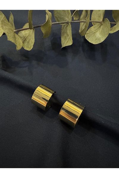HERA Thick Curved Earrings