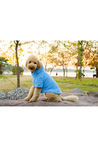 Buddy Store ملابس ملابس للقطط والكلاب - ملابس قطيفة بغطاء للرأس باللون الأزرق