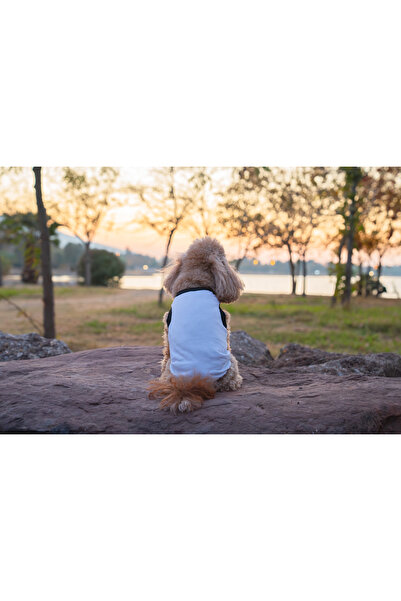 Buddy Store ملابس داخلية للقطط والكلاب - قميص داخلي أبيض غير مطبوع - مقاس S