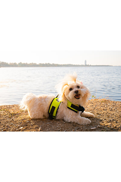 Buddy Store Kedi & Köpek Göğüs Tasması - Airmesh Yeni Nesil Nefes Alabilen Kumaş Yeşil Tasma