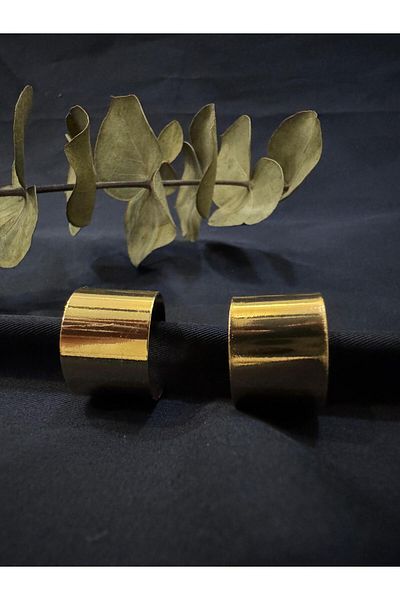HERA Thick Curved Earrings
