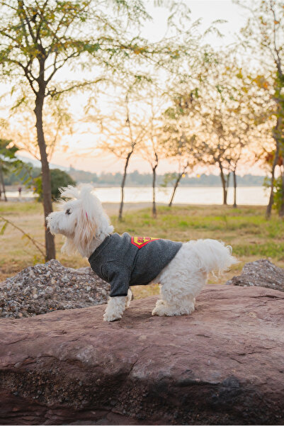 Buddy Store ملابس وملابس Grimelange Superdog - نموذج بأكمام طويلة (ملابس داخلية)