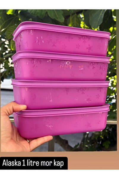 Tupperware 1 LT 4 Adet Alaska.