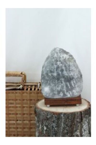 Erdemoğlu TUZ LAMBASI