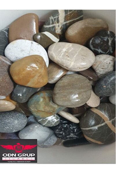 ODN 5 KG. Çok Amaçlı Dekoratif Büyük Çakıl Taşı Doğal Deniz Taşı Akvaryum Teraryum Saksıda vazoda Peyzaj