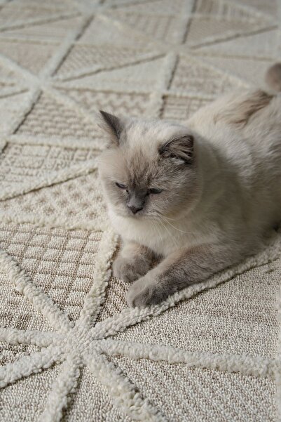 Cool Halı Sakura 2201 Krem Hav Toz Vermez Etnik Desenli Modern Dokuma Bukleli Salon Halısı