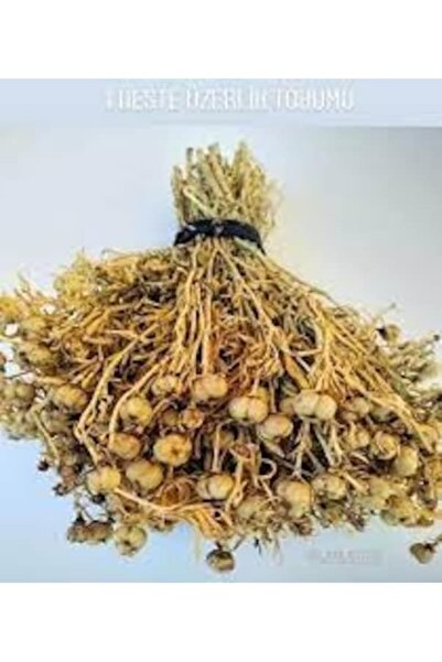 Köy Tohumları 2 Demet Kurutulmuş Tütsü Üzerlik Organik Kır Tütsü Nazarlık Otu...