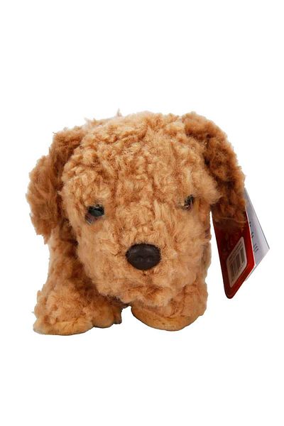 Sunman Cockapoo Puppy Plush 25 cm