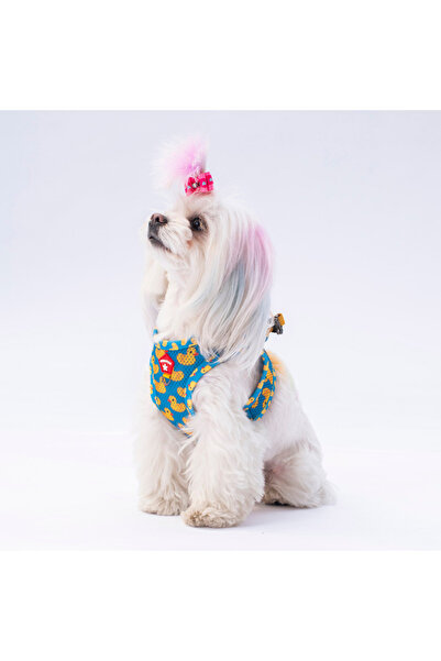 Pawstar KÜÇÜK-ORTA IRK KEDİ KÖPEK MESH GÖĞÜS TASMASI