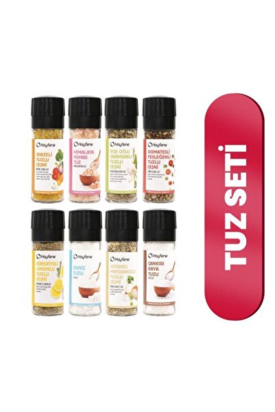 Hayfene Baharatlı Tuzlar Serisi 8li Set