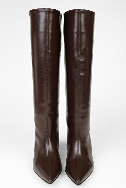 Shoeberry Women's Blaze Brown Skin Short Pointed Heeled Boots